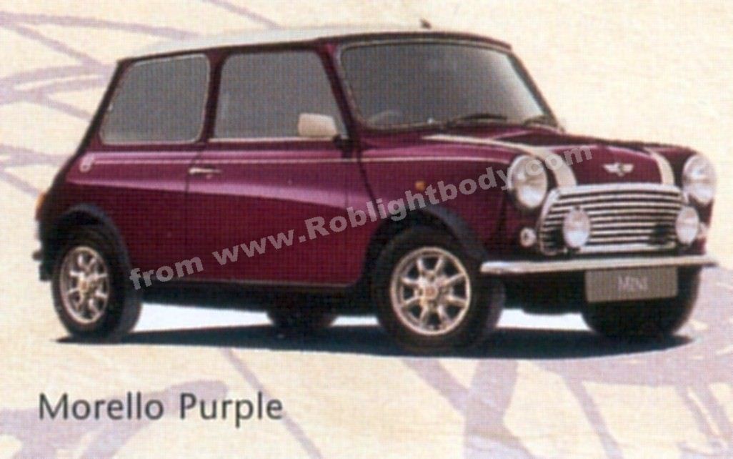 Morello Purple